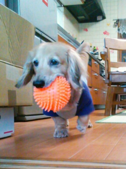 IMG_20130728_140143.jpg image